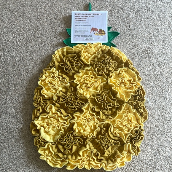 Other - Dog pineapple themed snuffle activity match